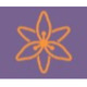 Logo Almir Kovacevic Physiotherapie Lilium