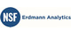 Logo NSF Erdmann Analytics GmbH
