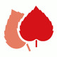 Logo KATHARINENHOF Haus Abendstern