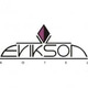 Logo Erikson Hotel